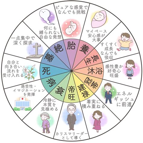 衰運|四柱推命の十二運星「衰」の意味とは？性格・適職・恋愛を解説。